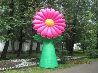 Ромашка надувная фуксия Ромашка надувная фуксия